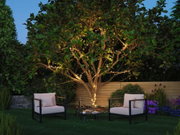 Garten mit Baum, der mit warmweißen LED-Lichterketten beleuchtet ist, umgeben von Sitzmöbeln und Pflanzen