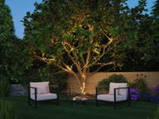 Garten mit Baum, der mit warmweißen LED-Lichterketten beleuchtet ist, umgeben von Sitzmöbeln und Pflanzen