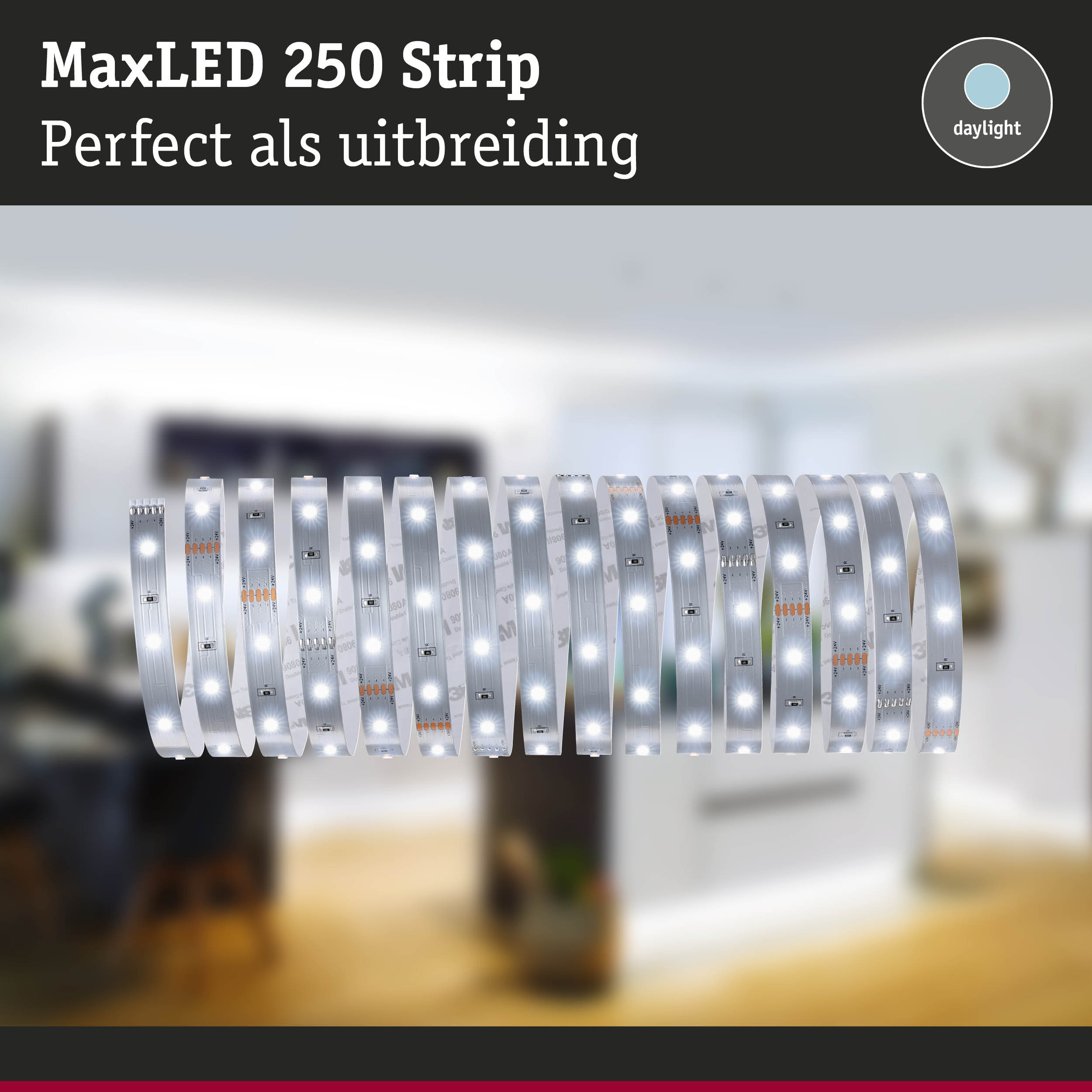 MaxLED 250 LED-strip in daglichtwit, perfect als uitbreiding voor woonverlichting