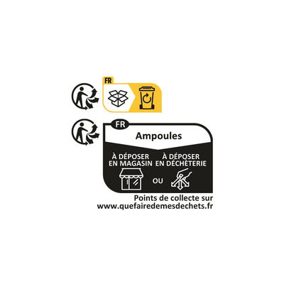 Instructions françaises pour le recyclage des ampoules avec symboles et points de collecte en magasin.