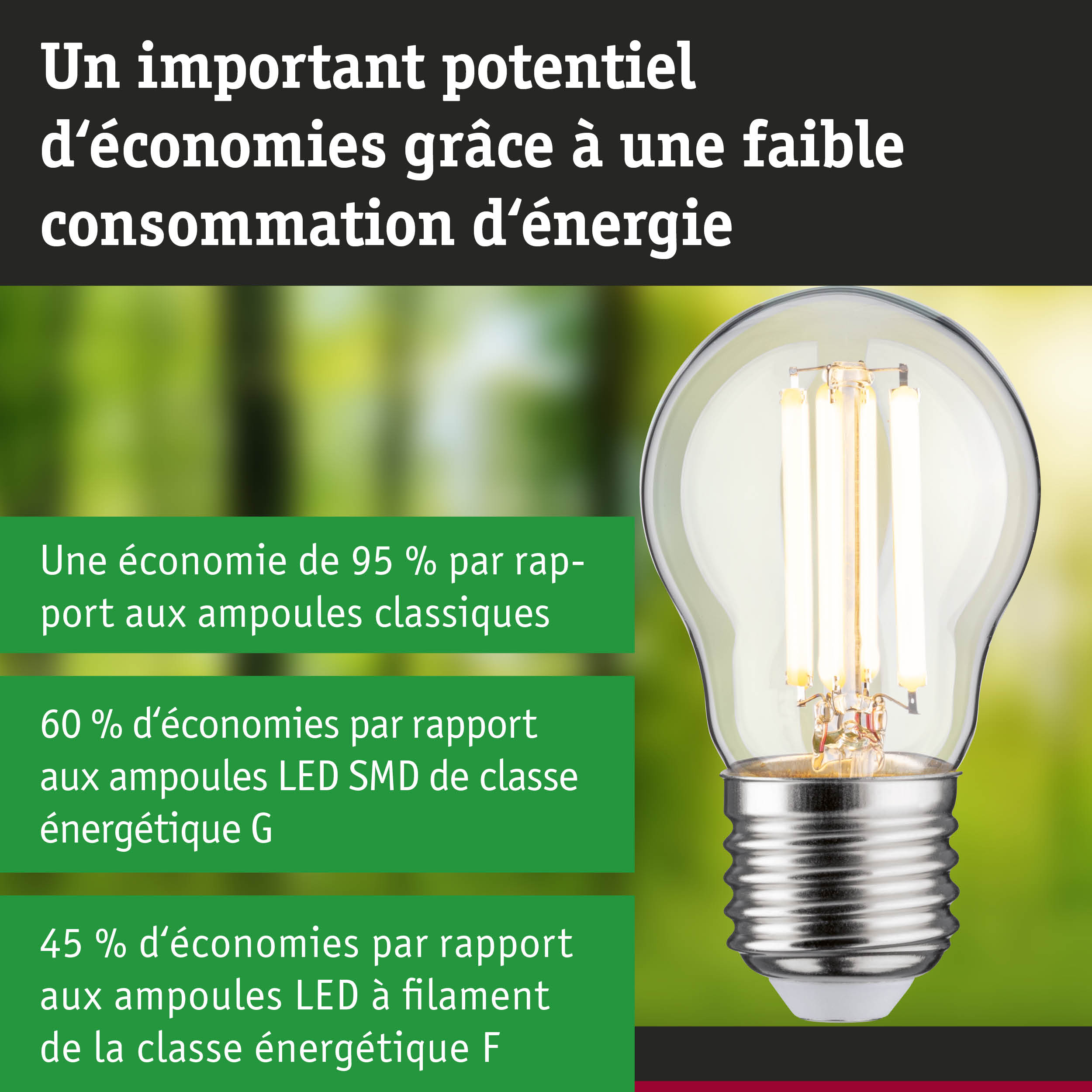 Ampoule LED à verre transparent avec filaments visibles pour un éclairage ultra efficace