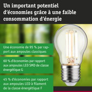 Ampoule LED à verre transparent avec filaments visibles pour un éclairage ultra efficace