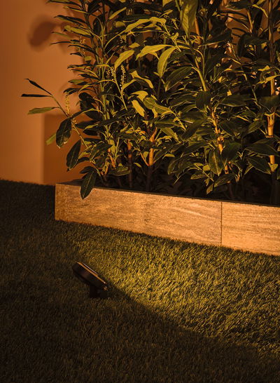 Schwarzer LED-Gartenstrahler beleuchtet grüne Pflanzen vor einer Steinmauer auf Rasenfläche bei Nacht