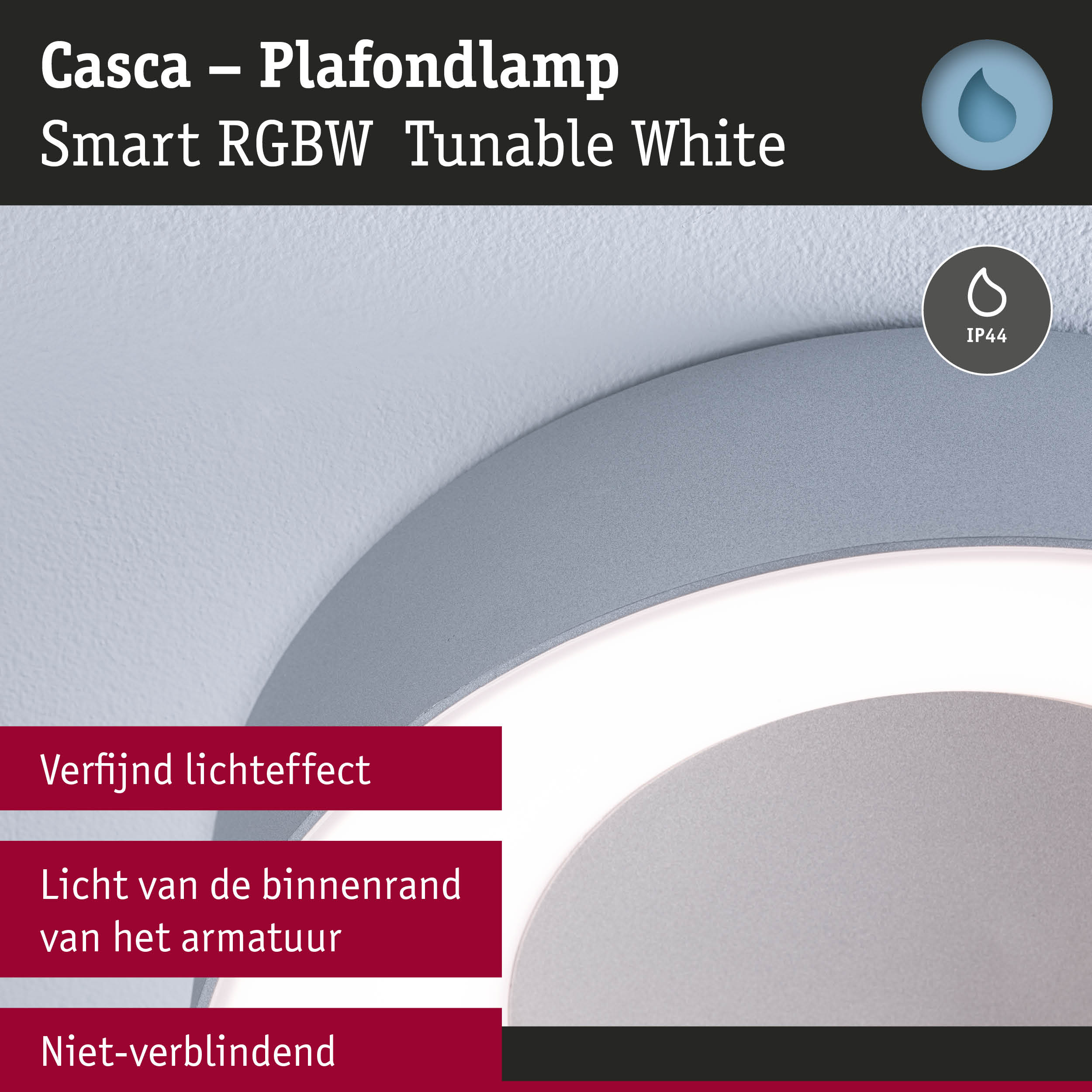 Casca plafondlamp grijs met slimme RGBW-verlichting en IP44-classificatie voor veelzijdige verlichting