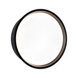 Round LED ceiling light with black metal frame and white diffuser for modern indoor lighting