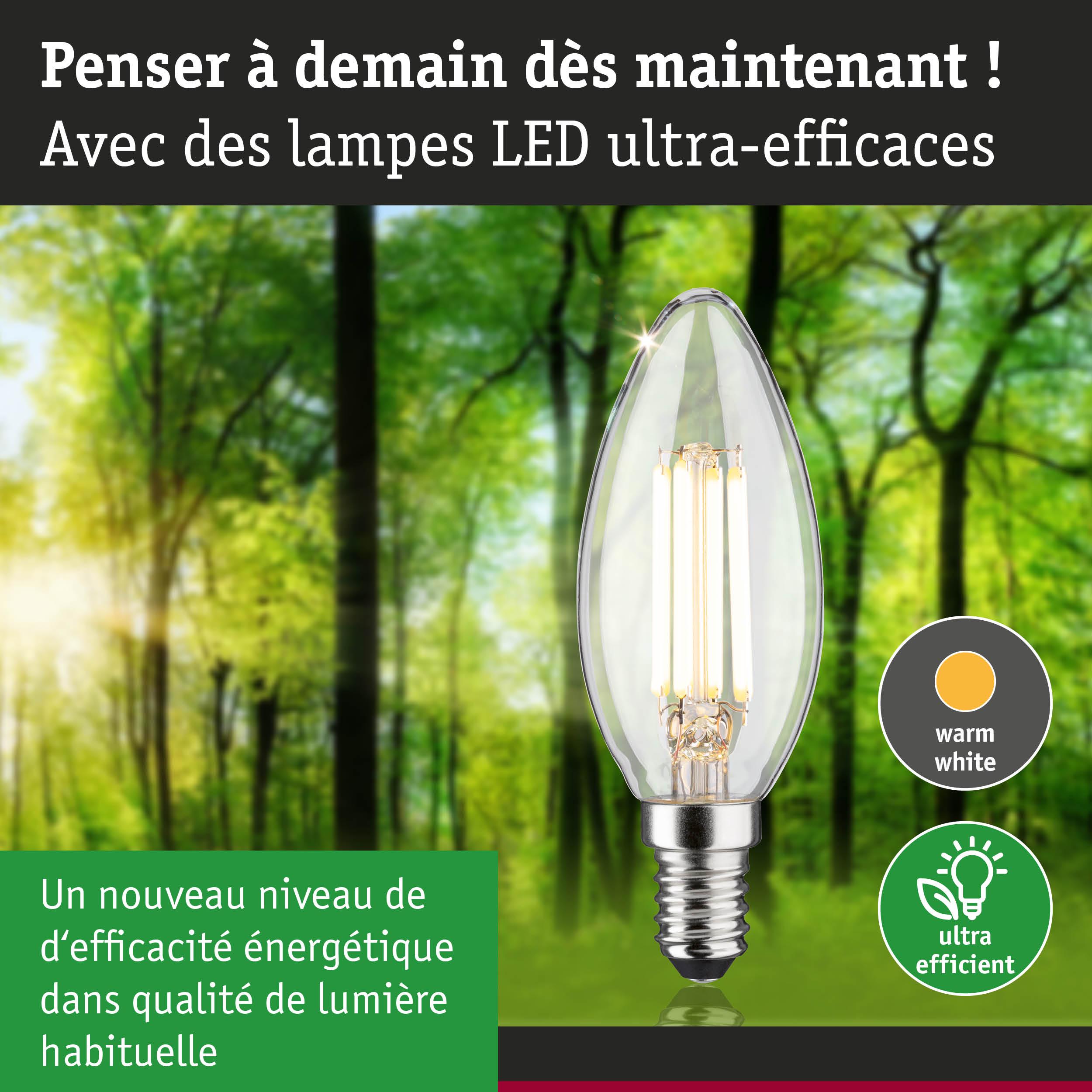 Ampoule LED claire en forme de bougie avec lumière blanc chaud et haute efficacité énergétique