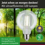 Klarer LED-Leuchtmittel mit warmweißem Licht und hoher Energieeffizienz vor grünem Waldhintergrund