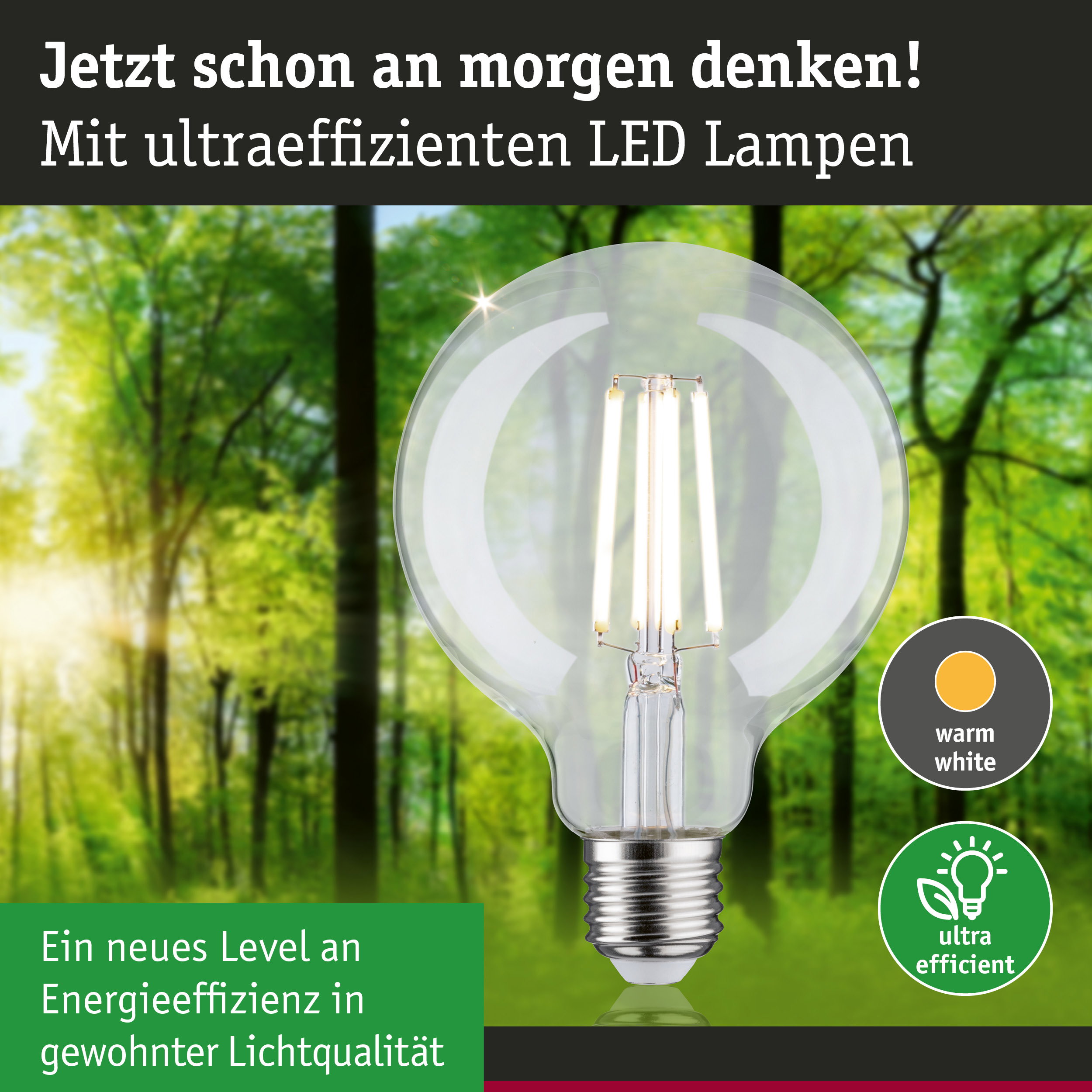 Klarer LED-Leuchtmittel mit warmweißem Licht und hoher Energieeffizienz vor grünem Waldhintergrund