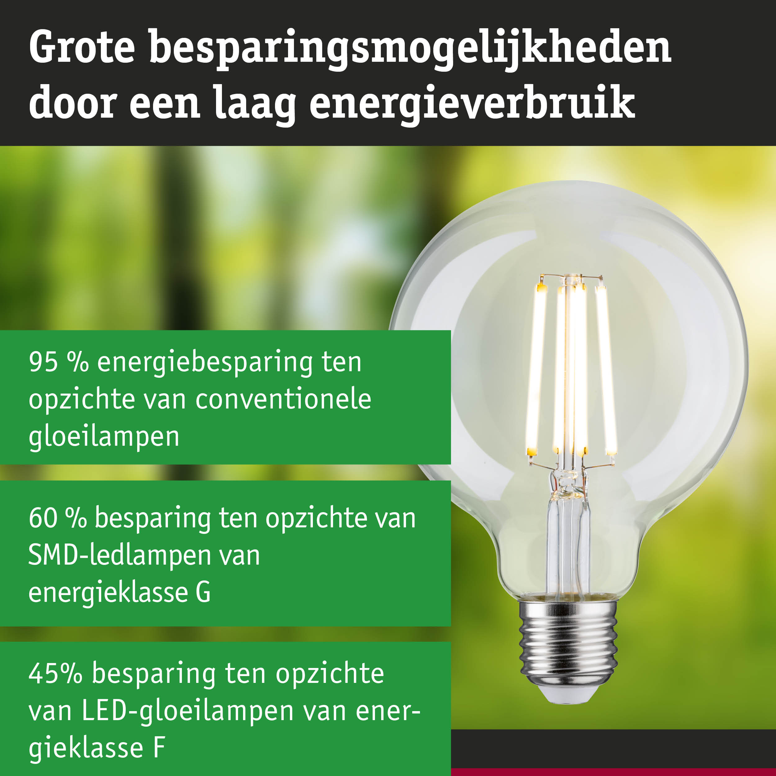 Energiezuinige LED-gloeilamp met helder glas en zilveren fitting voor duurzame verlichting