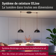 Système d'éclairage suspendu noir moderne avec câble rouge dans une salle à manger élégante avec plantes
