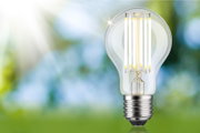 LED-Glühbirne mit klarem Glas und sichtbaren Leuchtstäben, energiesparende Beleuchtungslösung