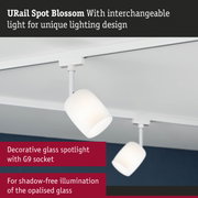 URail Spot Blossom white glass spotlight with G9 socket for shadow-free lighting design