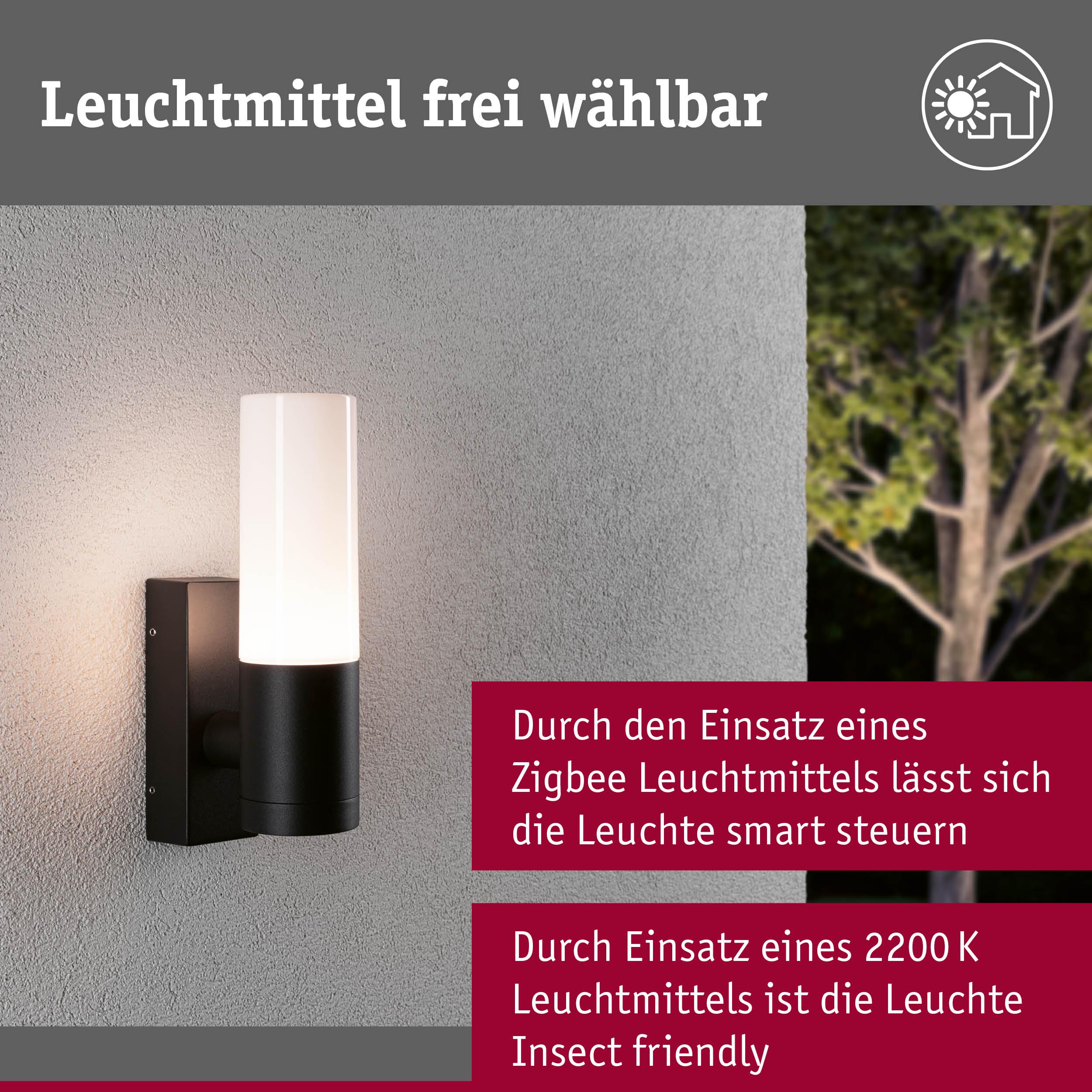 Schwarze Außenwandleuchte mit weißem Glas, flexibel mit Zigbee-Leuchtmittel smart steuerbar, insektenfreundlich