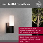 Moderne schwarze Außenwandleuchte mit weißem Glas, geeignet für smarte Steuerung und Insektenfreundlichkeit