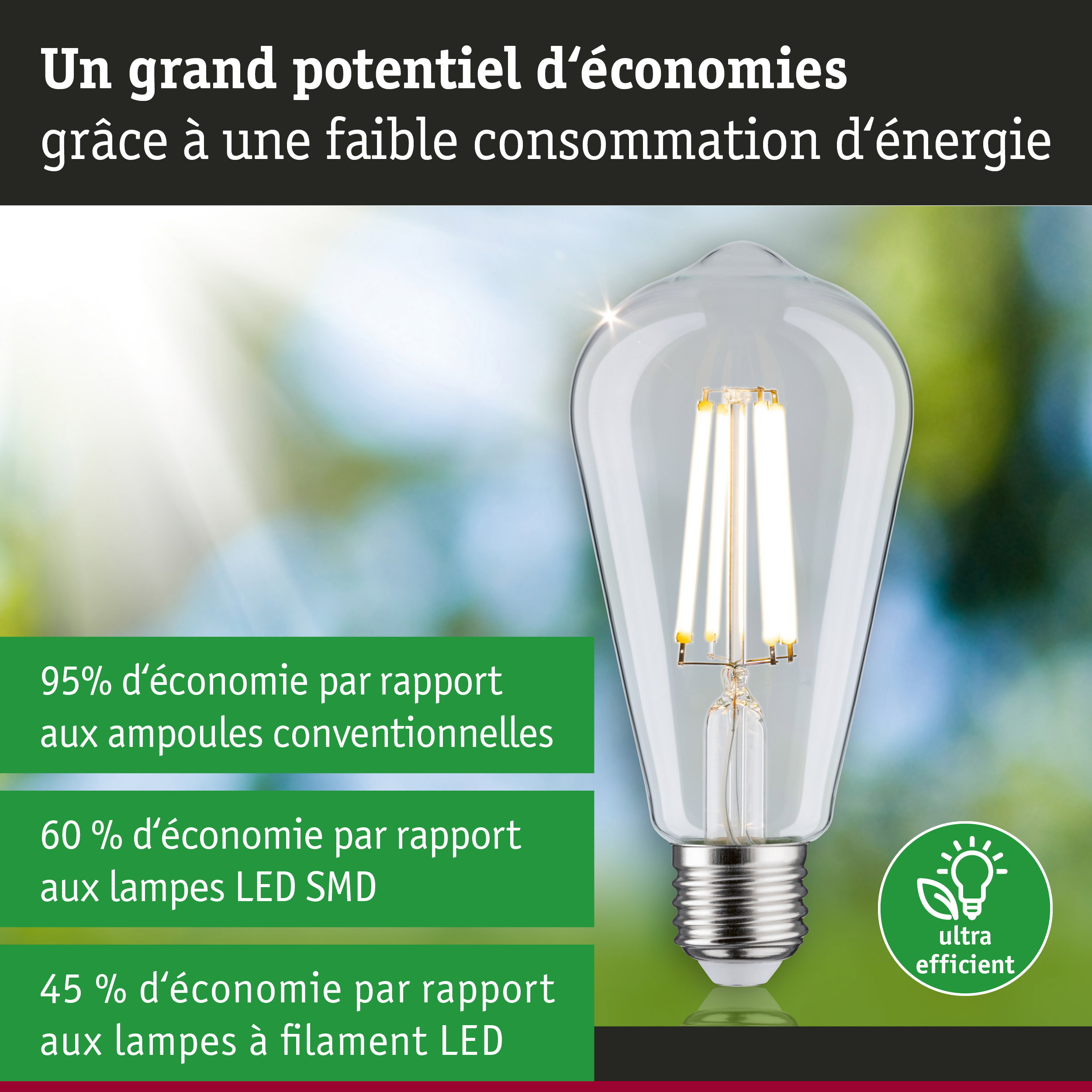 Ampoule LED économique à verre transparent et base argentée pour un éclairage durable et efficace