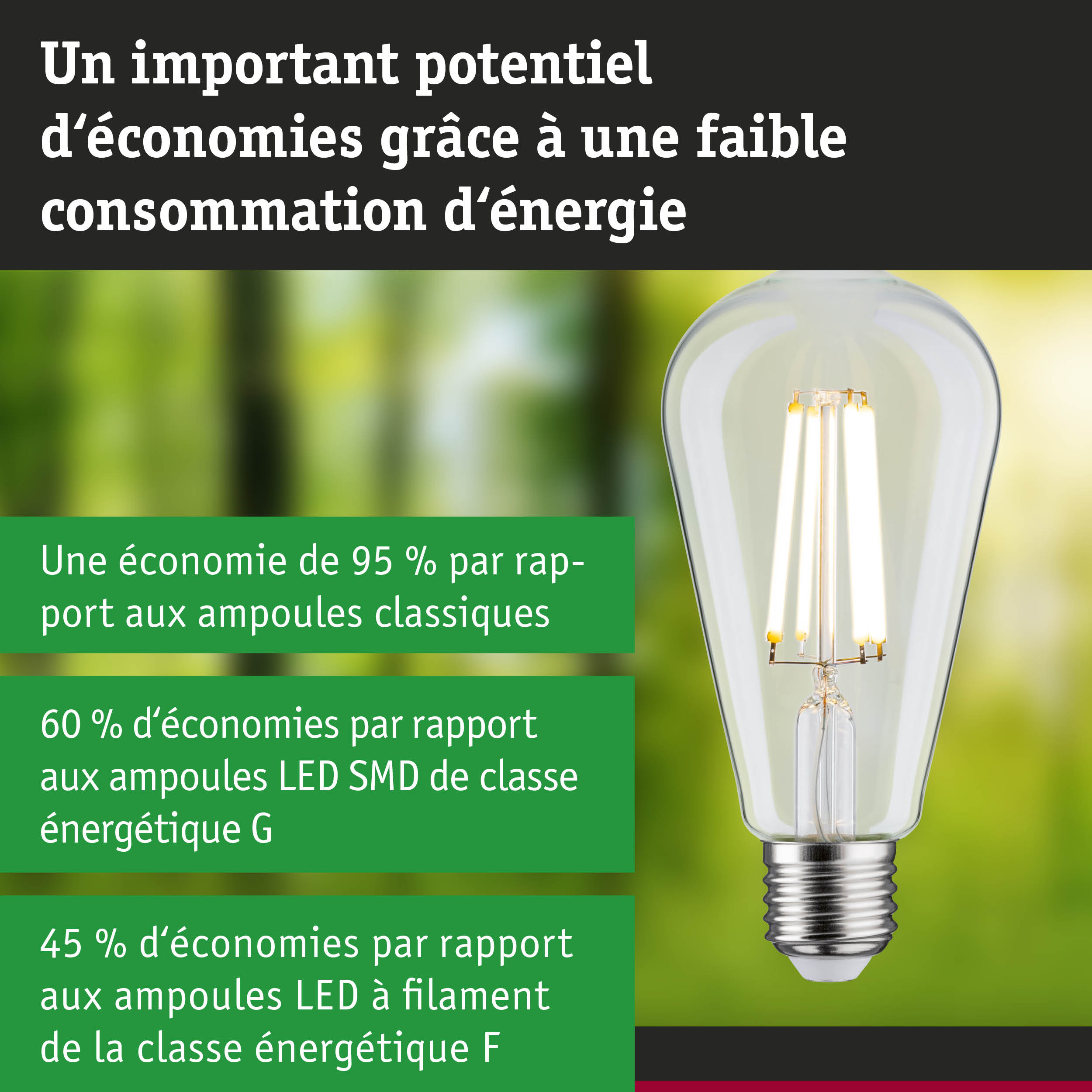 Ampoule LED économique à verre transparent et base argentée pour un éclairage durable et efficace