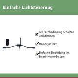 Schwarze Fernbedienung und Steuergerät für einfache Lichtsteuerung mit Smart-Home-Anbindung.