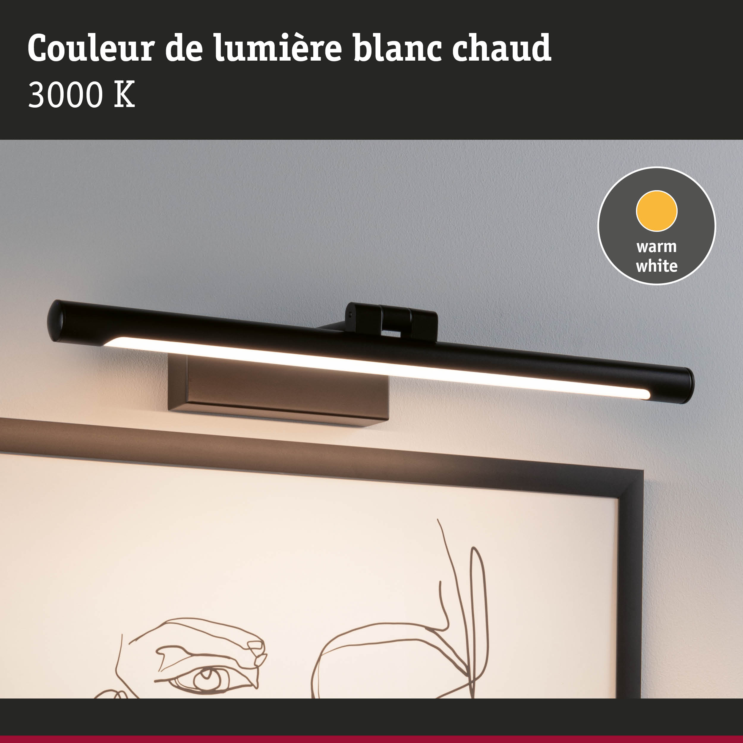 Applique LED noire pour tableau avec lumière blanc chaud 3000K pour éclairage mural d'ambiance