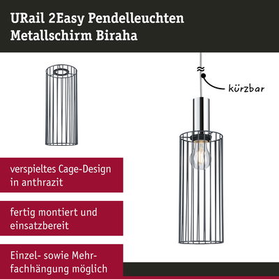 URail 2Easy Pendelleuchte mit anthrazitfarbenem Metallkäfigschirm, kürzbar und fertig montiert