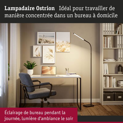 Lampadaire noir Ostrion avec bras flexible dans un bureau à domicile moderne avec bureau et chaise grise