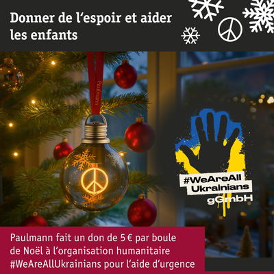 Boule de Noël en verre avec symbole de paix et flocons, ruban rouge, don caritatif pour aide Ukraine