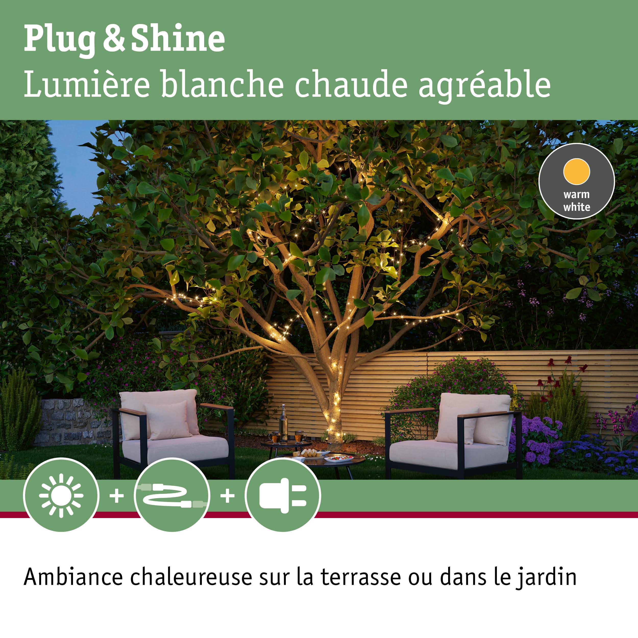 Guirlande LED blanc chaud enroulée autour d'un arbre dans un jardin avec deux fauteuils noirs