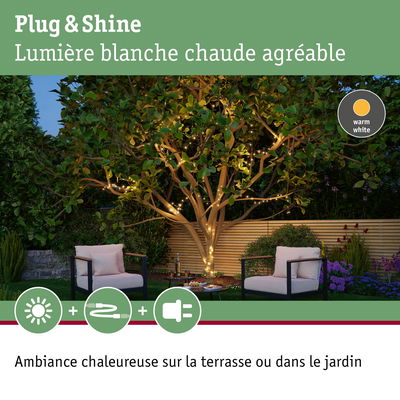 Guirlande LED blanc chaud enroulée autour d'un arbre dans un jardin avec deux fauteuils noirs