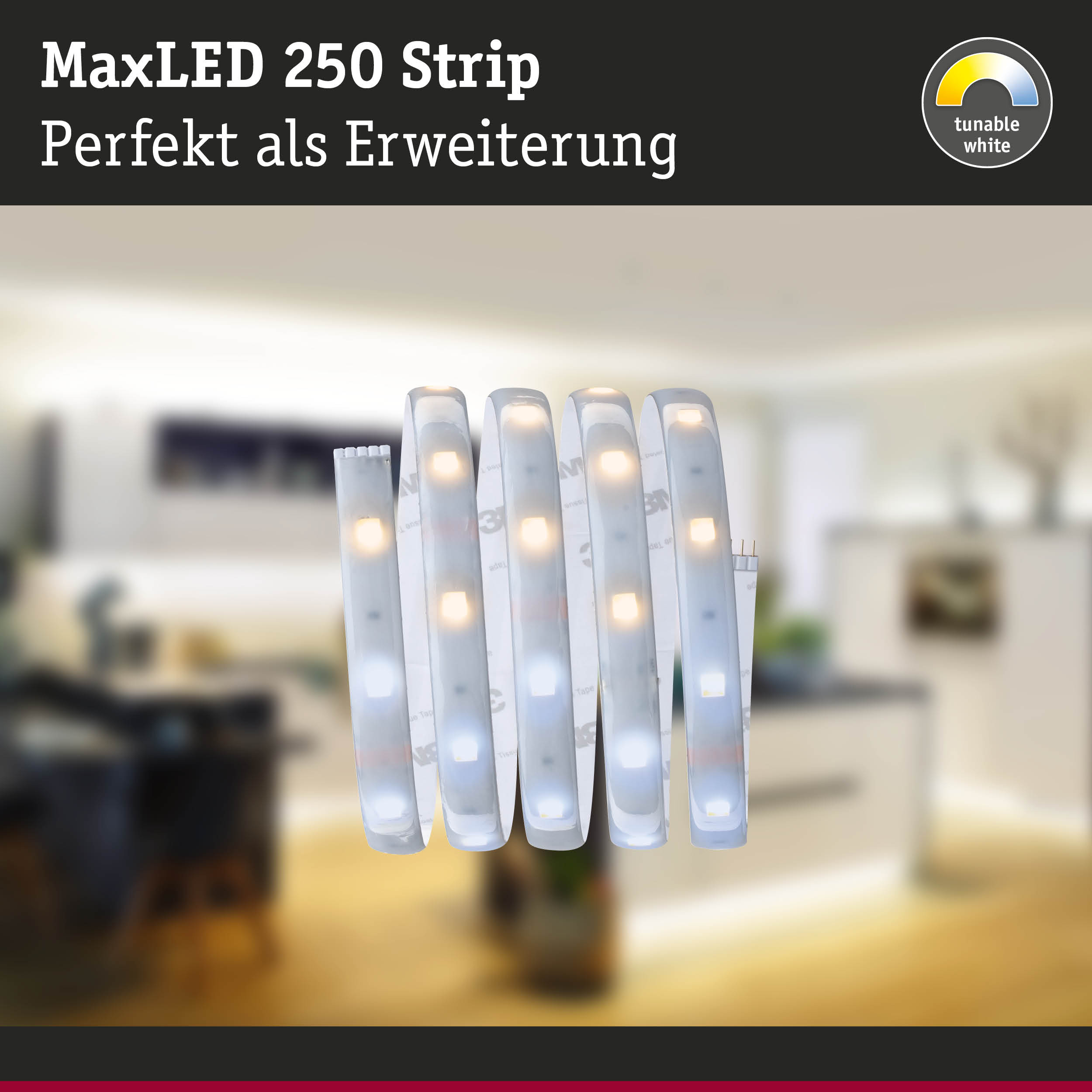 MaxLED 250 LED-Lichtband in Weiß mit einstellbarem Weißton für flexible Raumbeleuchtung