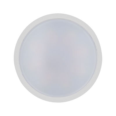Round white LED ceiling light with frosted plastic diffuser for energy-efficient lighting