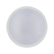 Round white LED ceiling light with frosted plastic diffuser for energy-efficient lighting