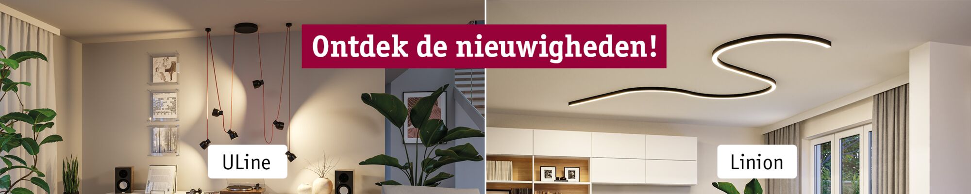 Neuheiten Entdecken Banner