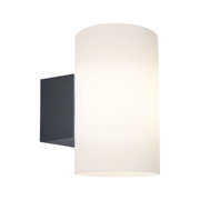 Moderne Wandlampe mit schwarzem Metallhalter und weißem Glaszylinder für stilvolle Innenbeleuchtung