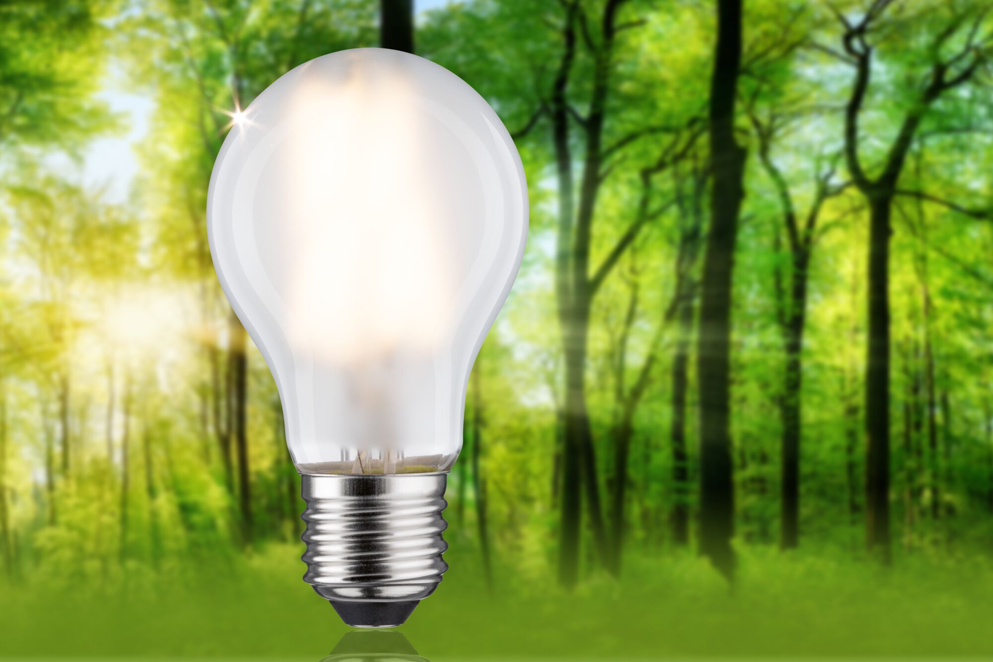 Glowing LED light bulb with clear glass and metal base against a green forest background