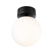 Round ceiling light with white glass and black metal base, modern LED indoor lighting