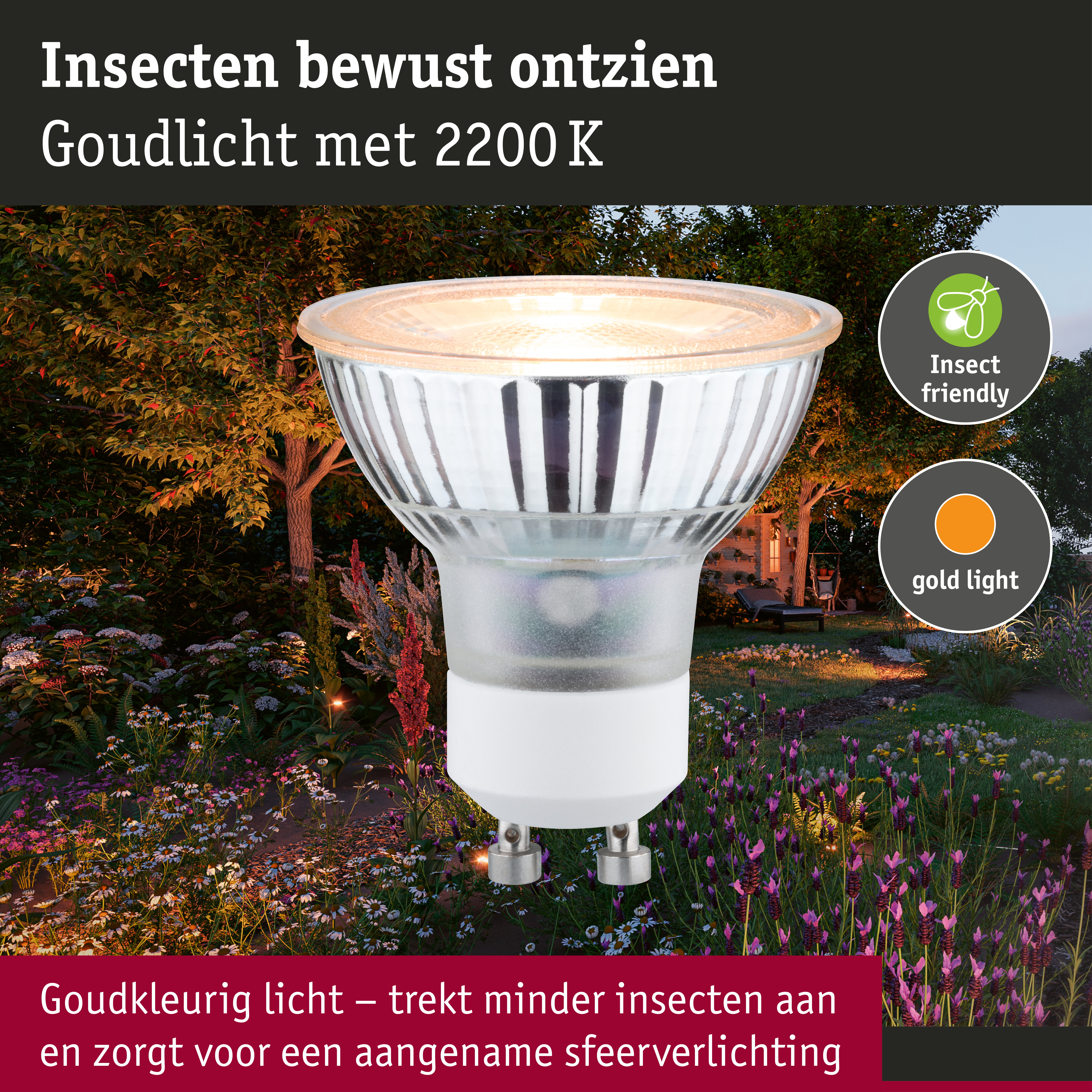 Standaard 230 V LED-reflector GU10 insectvriendelijk 320lm 4,3W 2200K Zilver