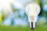 LED light bulb with clear glass and silver base against green-blue background, energy-efficient lighting