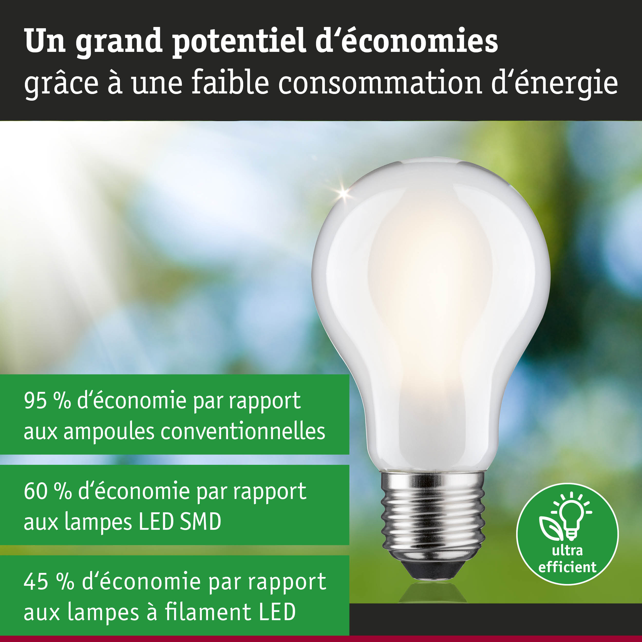Ampoule LED blanche avec culot E27 sur fond naturel flou, éclairage économique en énergie