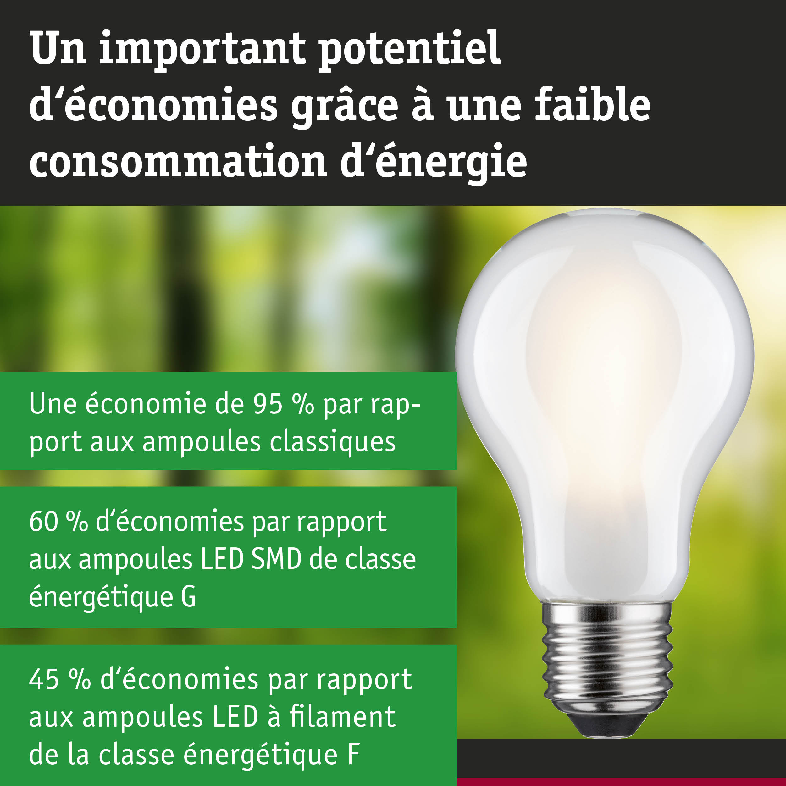 Ampoule LED blanche avec culot E27 sur fond naturel flou, éclairage économique en énergie