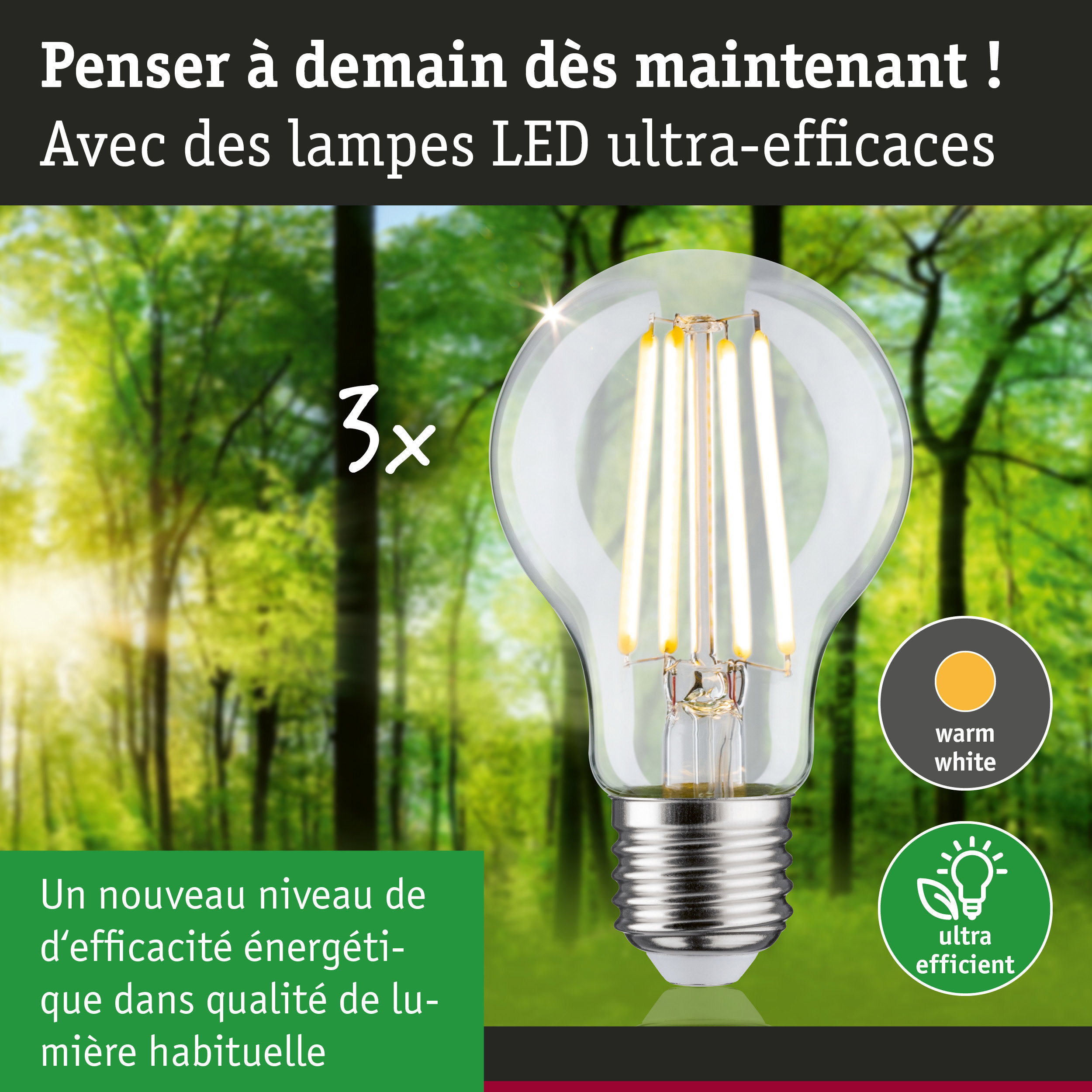 Ampoule LED claire avec lumière blanc chaud et ultra-efficace sur fond de forêt verte