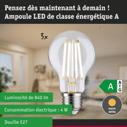 Ampoule LED claire avec lumière blanc chaud et ultra-efficace sur fond de forêt verte