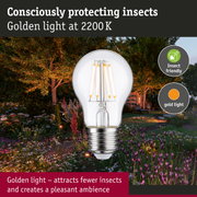 230 V Filament LED Pear E27 insect friendly 420lm 4,3W 2200K Clear