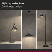 Black metal Juna lighting series with table, pendant, and floor lamps for modern home lighting