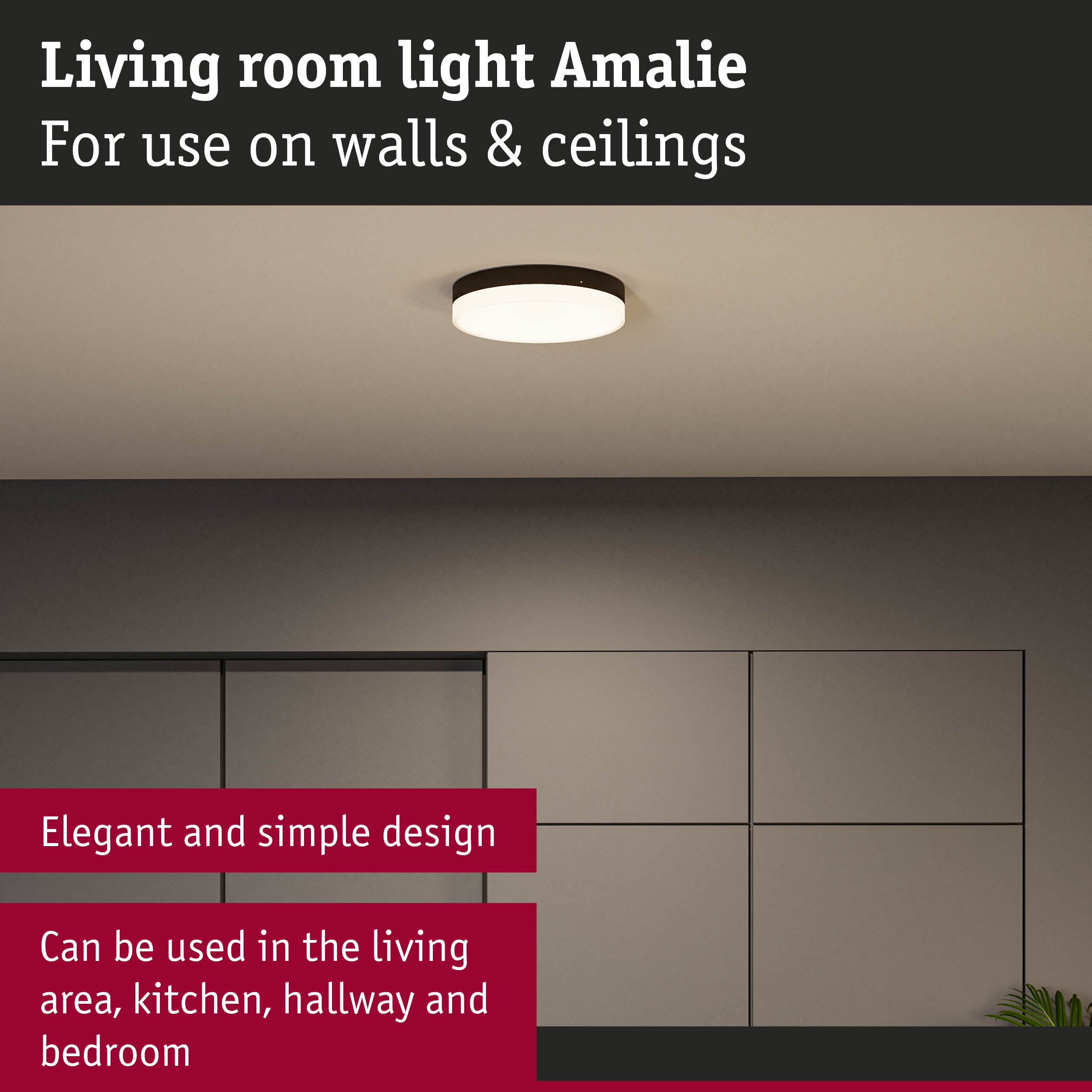 Amalie ceiling light with black frame and white diffuser for living room and hallway