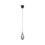 Modern pendant light with green socket and smoked bulb for stylish room lighting and interior design