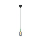 Modern pendant light with green socket and smoked bulb for stylish room lighting and interior design