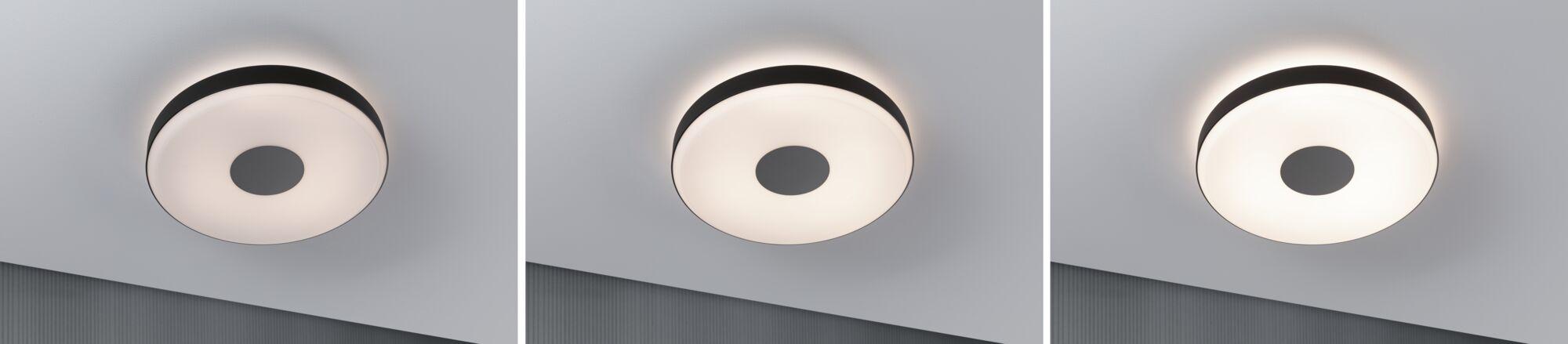 Drei runde Deckenleuchten mit schwarzem Rand und weißem Diffusor, dimmbares LED-Licht in modernem Raum.