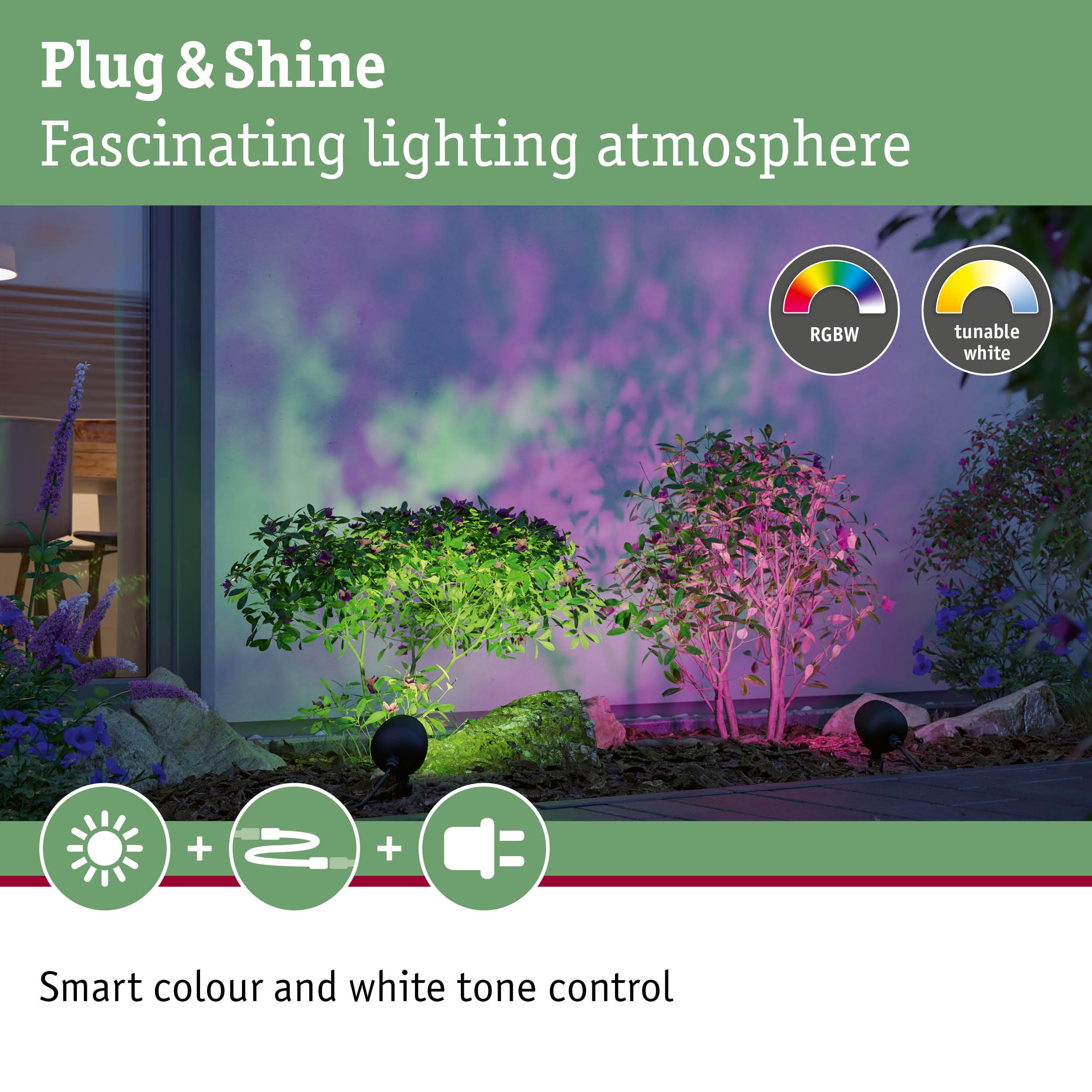 Outdoor RGBW LED spotlights in black creating colorful garden lighting with tunable white tones