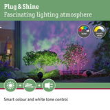 Outdoor RGBW LED spotlights in black creating colorful garden lighting with tunable white tones