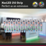 MaxLED 250 RGBW LED strip with tunable white light, perfect as an extension for lighting setups