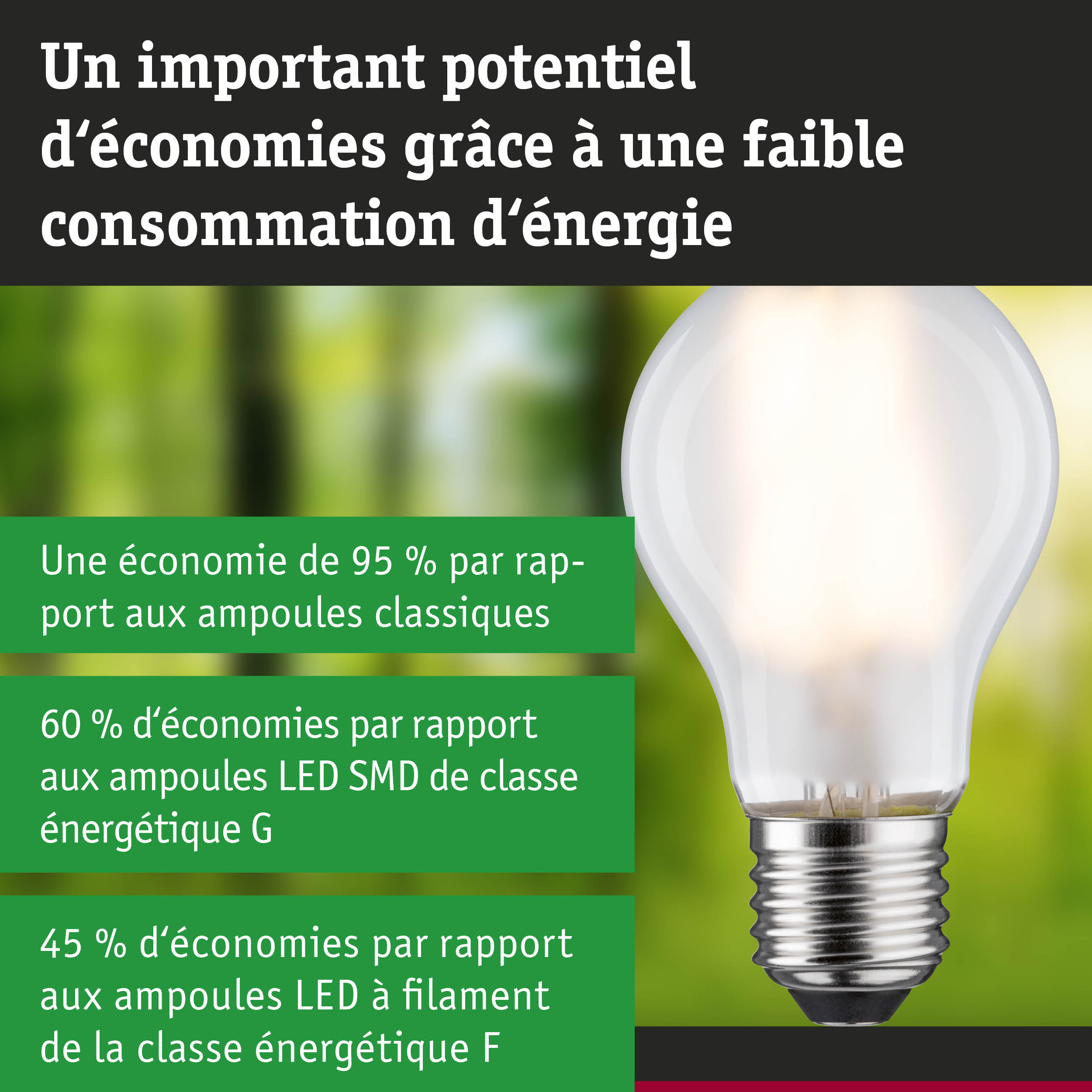 Ampoule LED économique avec verre blanc et base argentée sur fond vert-bleu flou